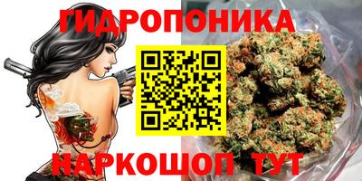 скорость Кандалакша