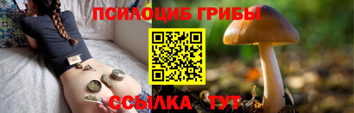 Галлюциногенные грибы Psilocybe  как найти закладки  Ялта  Вход с VPN 